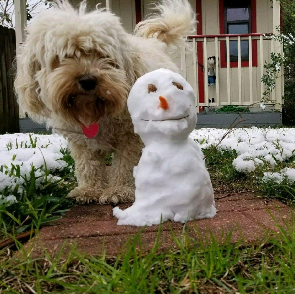 Meet your Posher, Lilian